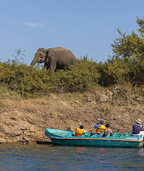 Wildlife and conservation in Sri Lanka