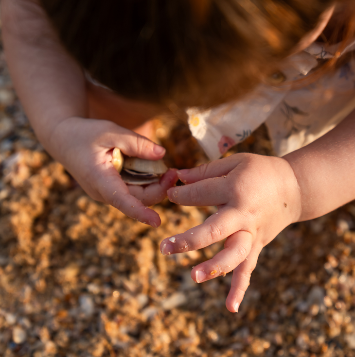 Child collecting shells on the beach