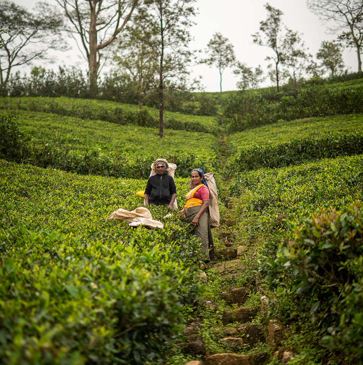Community project in a rural village